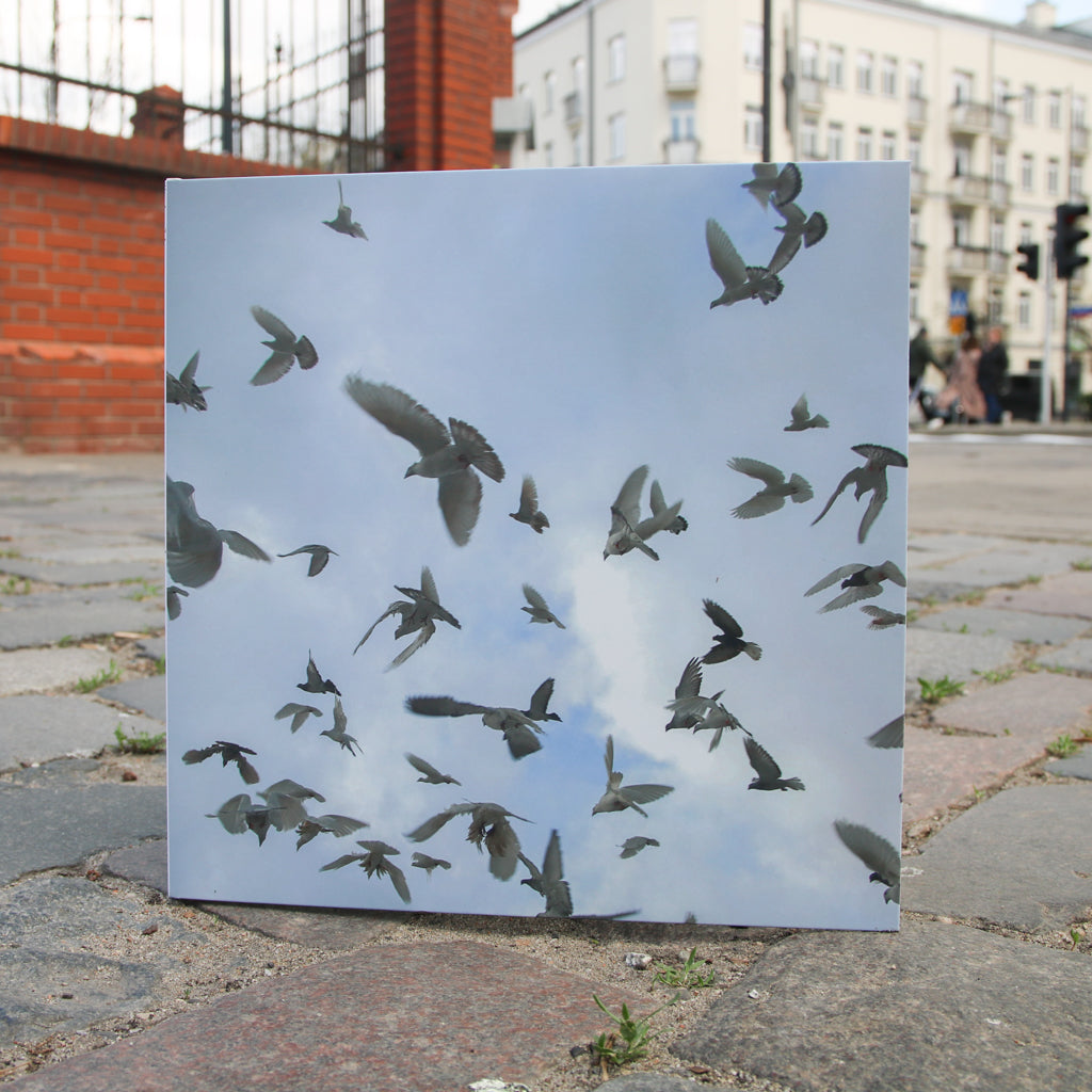4resh we7akecare x Qzyn | pidżyn | LP (limited)