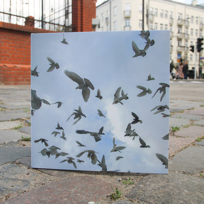 4resh we7akecare x Qzyn | pidżyn | LP (limited)