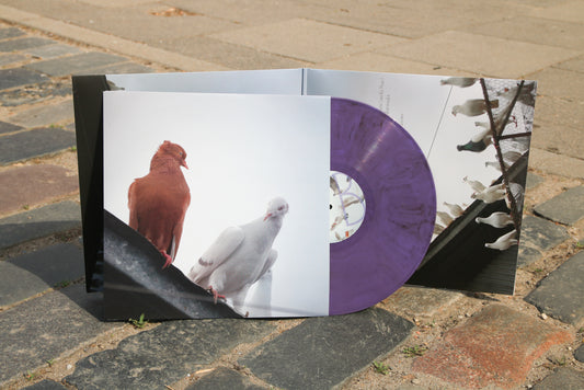 4resh we7akecare x Qzyn | pidżyn | LP + Hoodie bundle