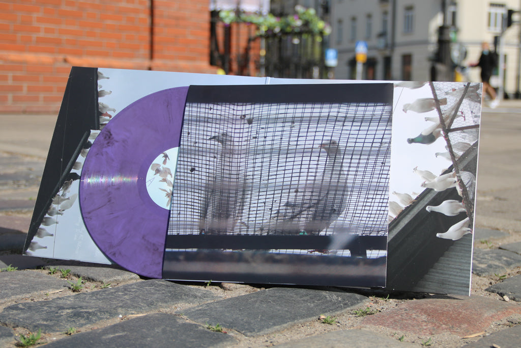 4resh we7akecare x Qzyn | pidżyn | LP (limited)